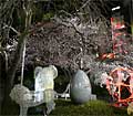 上野公園　桜LEDライトアップ