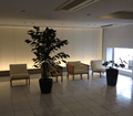 マンション共用部分